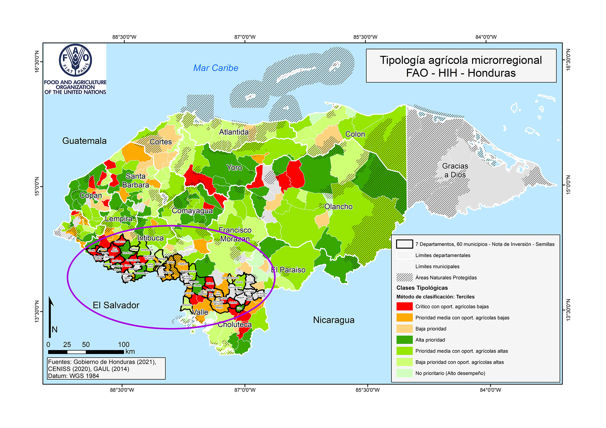 Honduras   Tipologia Hih Honduras Semillas 