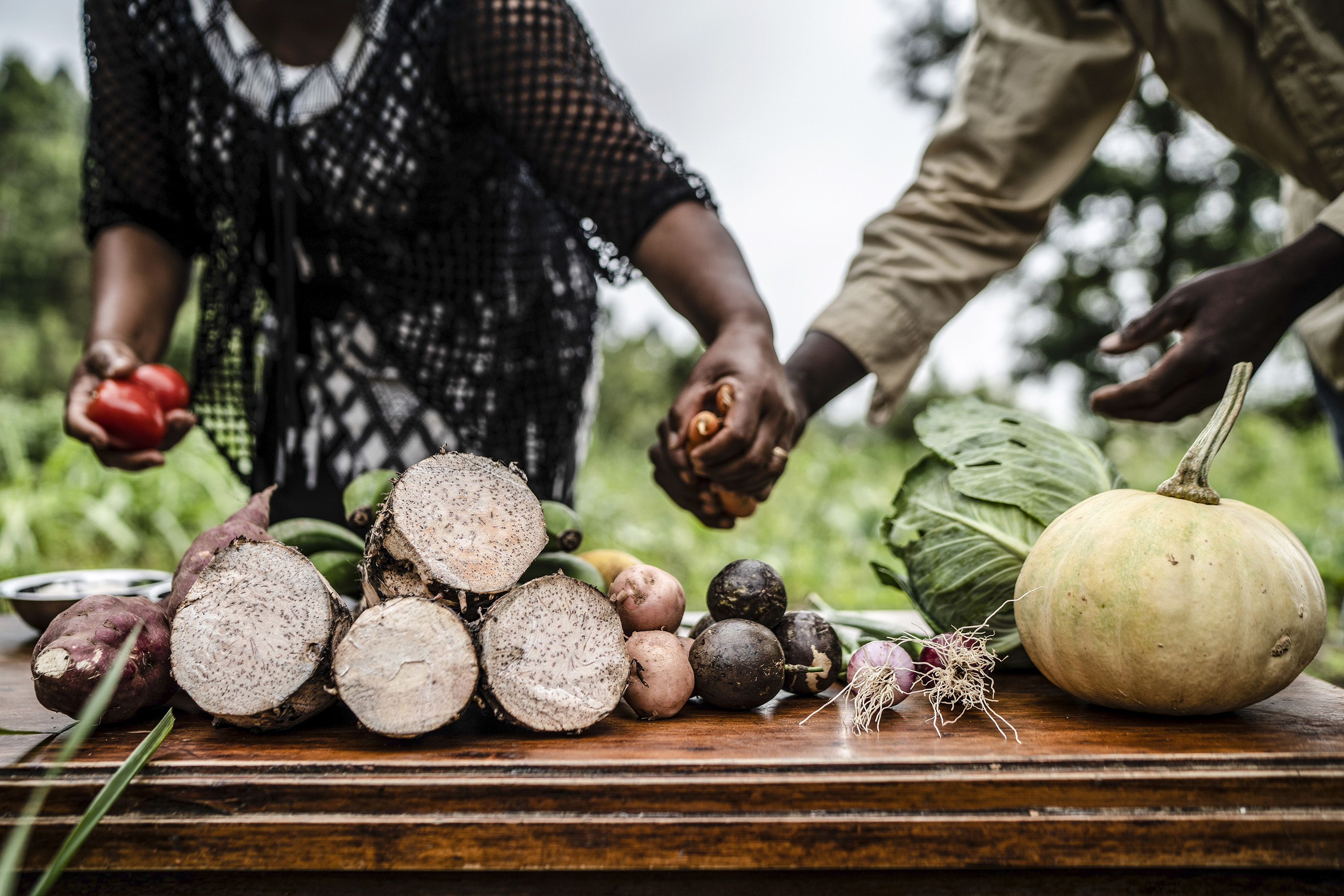 World food 1. Продовольственный кризис. Китайские личи тропическое сельское хозяйство. Всемирный день продовольствия. День продовольствия и питания Индонезии.