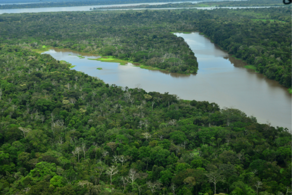 Indigenous territory in the amazon