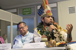 Indigenous Peoples' biocentric restoration at CBD COP 16