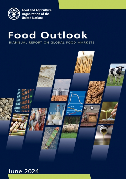 medium_food-outlook-june-2024