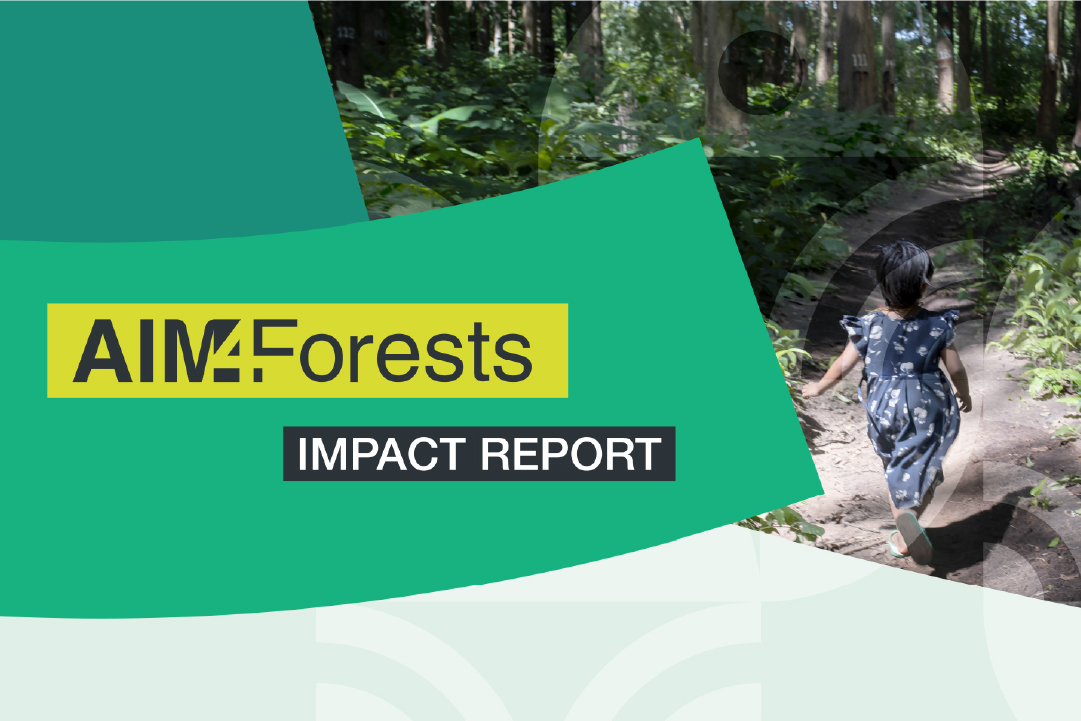 AIM4Forests : Une année d’impact 2024