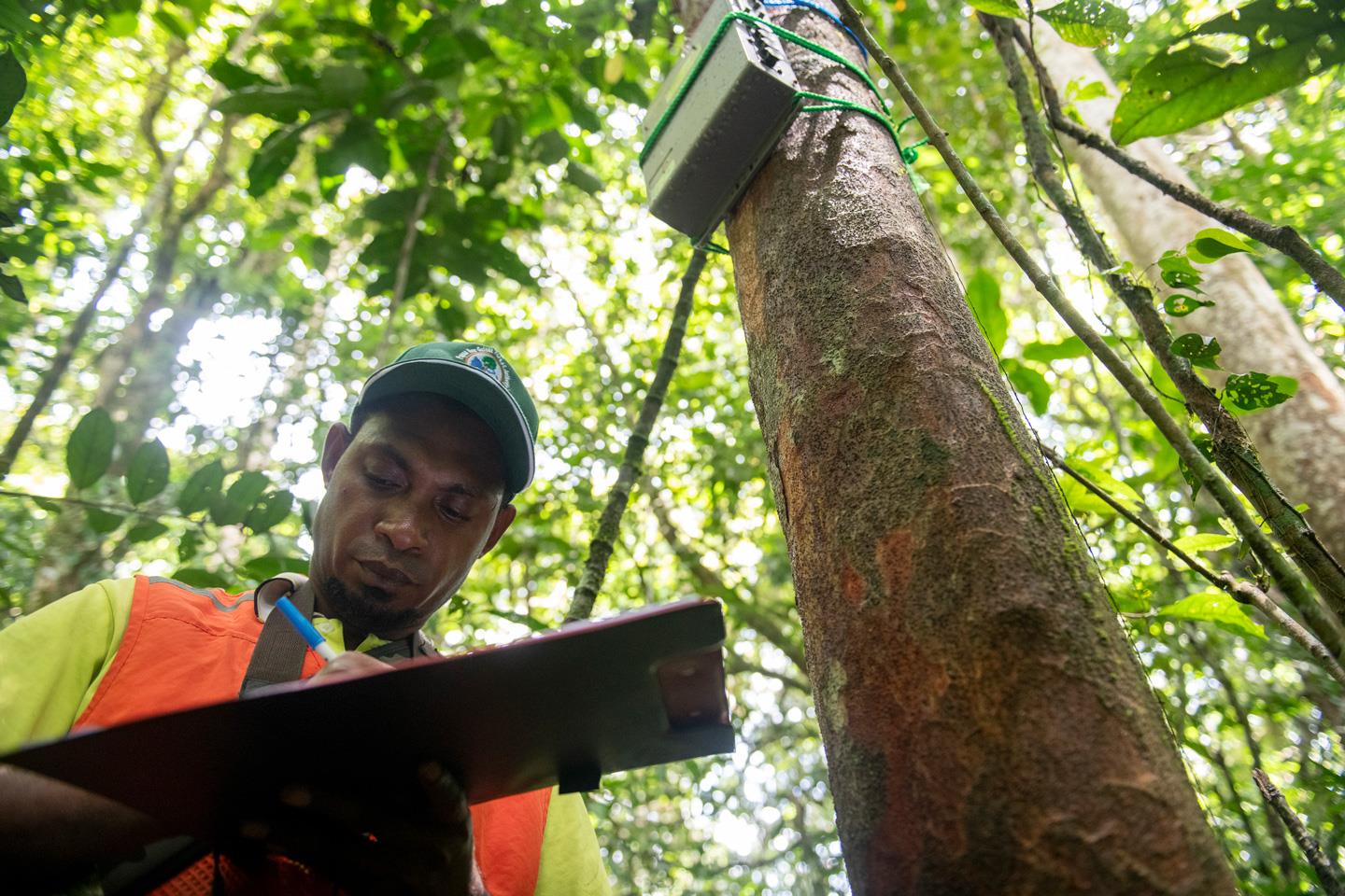 With a new tool called Open Foris Ground, the fruit of a collaboration between FAO and Google, Besta can demarcate and monitor his forest area through a map interface to make sure that the forests stay intact from incursions. ©FAO/ Cory Wright