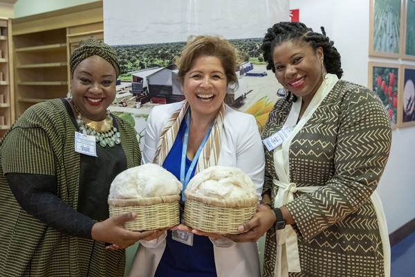 Celebrating role of cotton in global development while calling for developing crop more sustainably