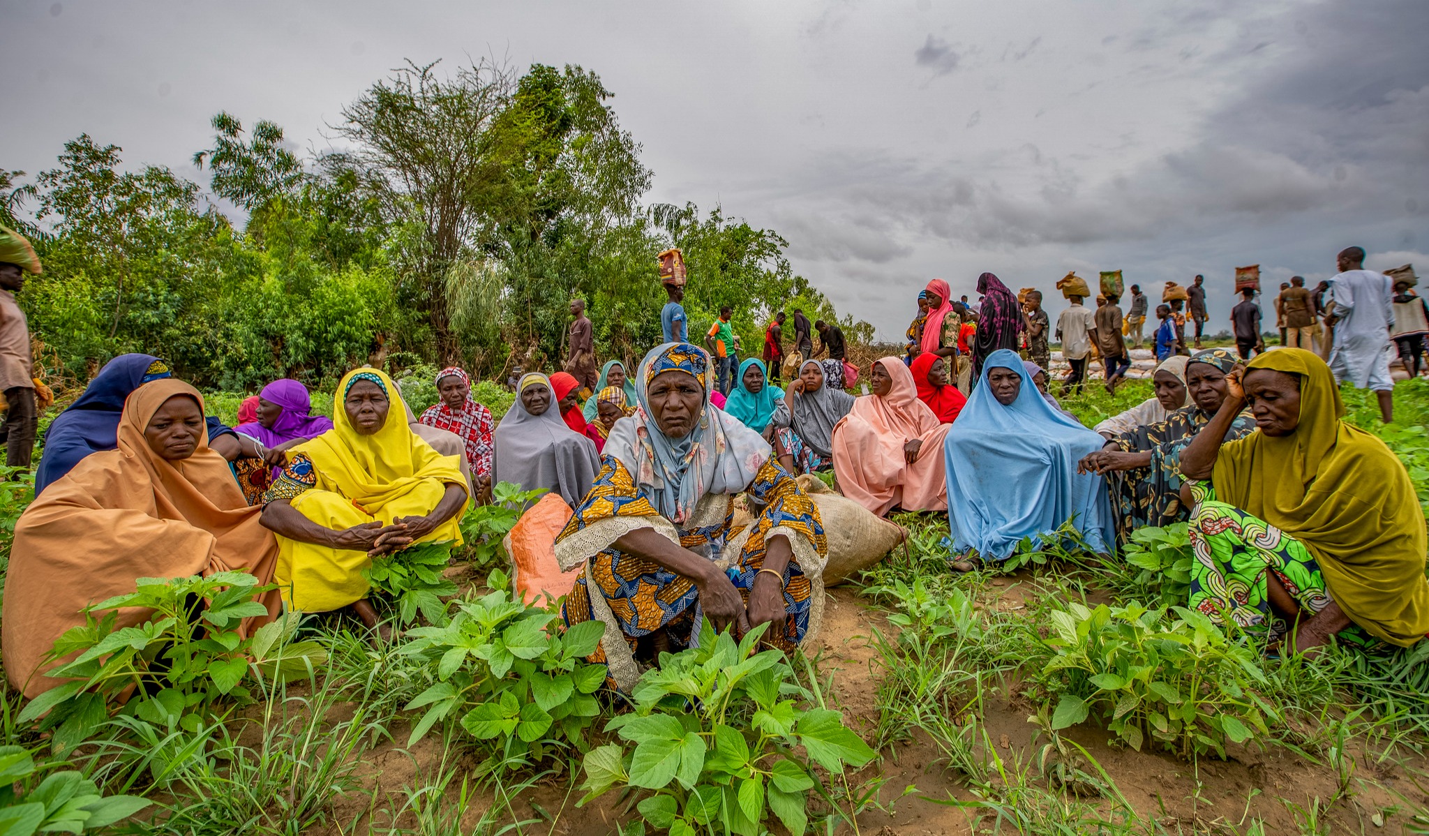 La Inseguridad Alimentaria Y La Malnutrici N En Frica Occidental Y    Fao00553d90 147c 4ec0 A452 C63366592dd4 