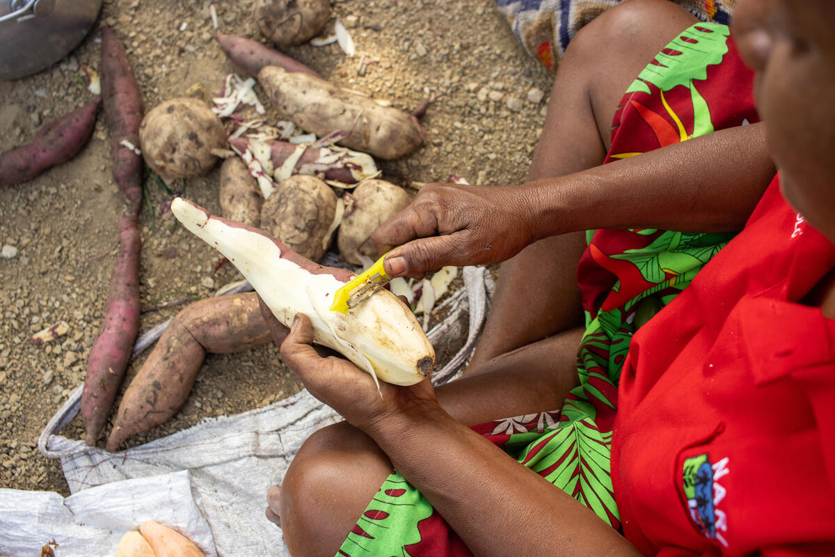© FAO / Russell Wai Papua New Guinea