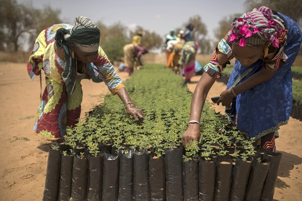 ©FAO/Benedicte Kurzen/NOOR