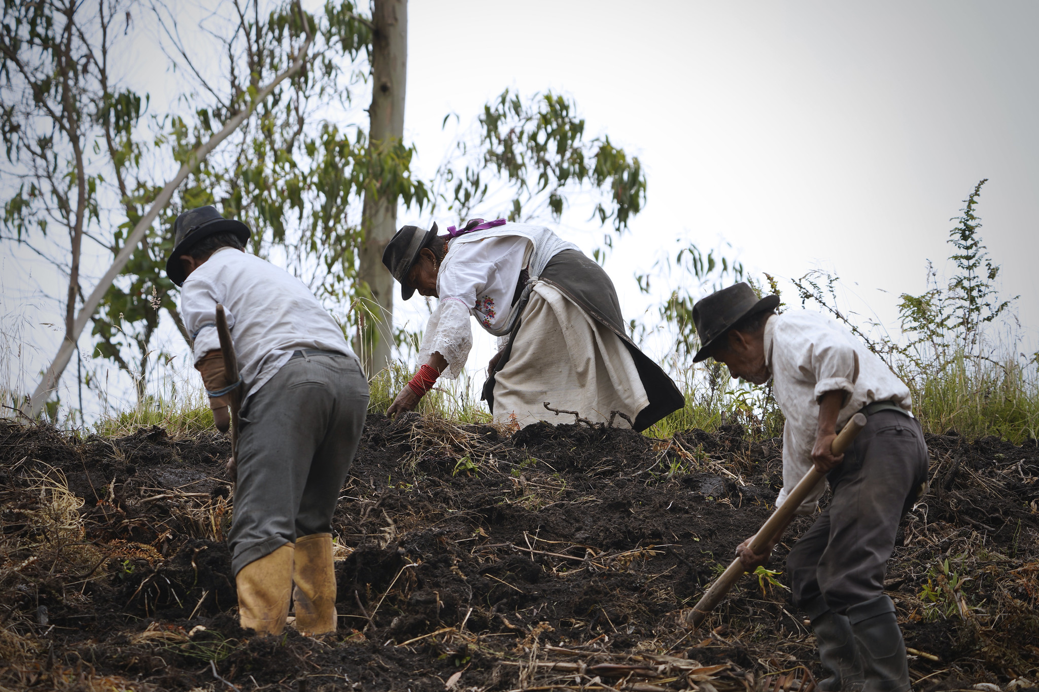 انضمام موقعين جديدين من منطقتي الأنديز والأمازون في إكوادور إلى قائمة نظم  التراث الزراعي ذات الأهمية العالمية