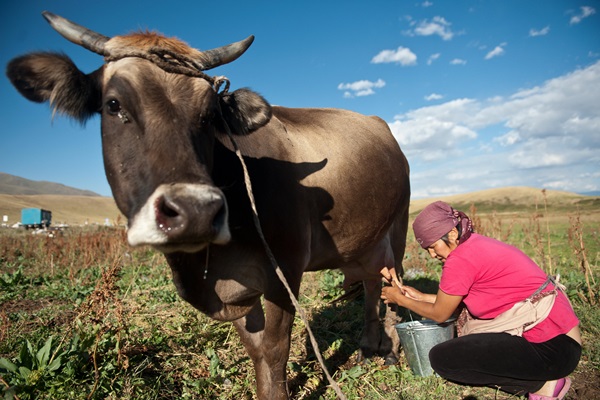 ©FAO/Sergey Kozmin