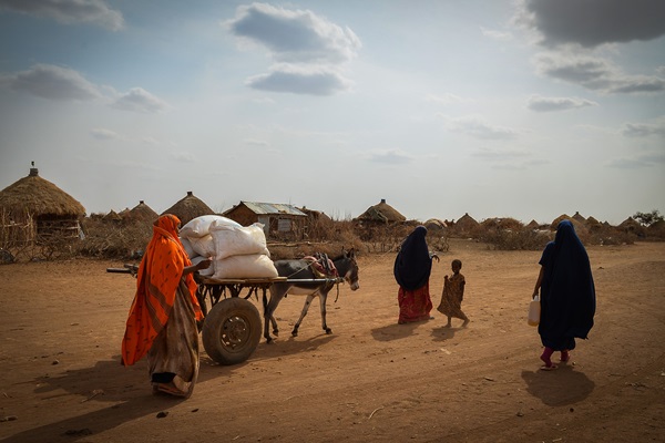 © FAO/IFAD/WFP/Michael Tewelde