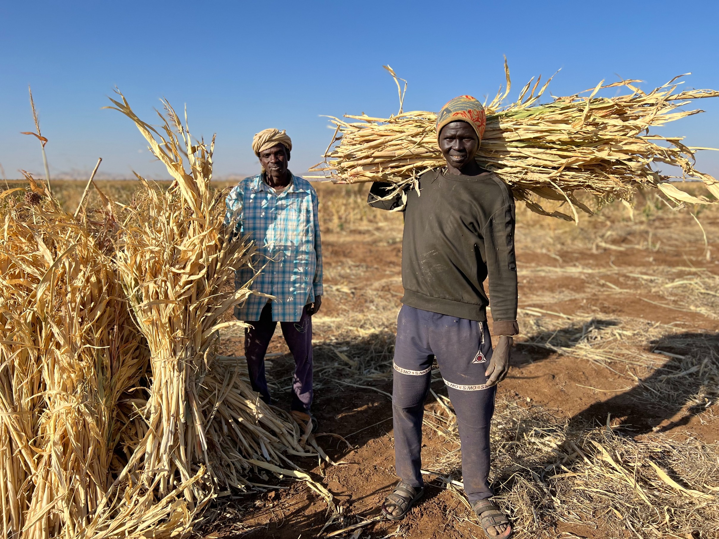 ©FAO/Eilaf Abdelbasit