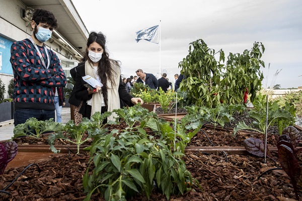 ©FAO/Alessandra Benedetti