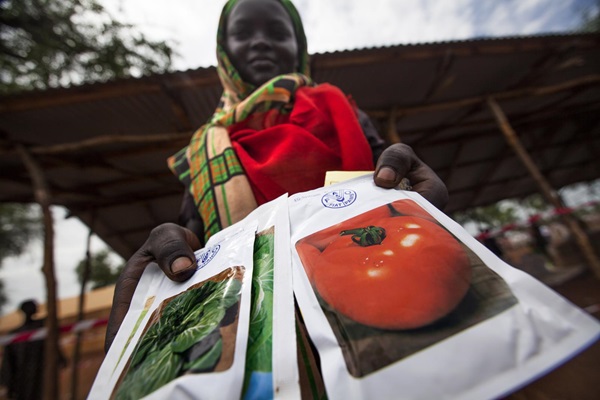 ©FAO/UNHCR Albert Gonzalez Farran