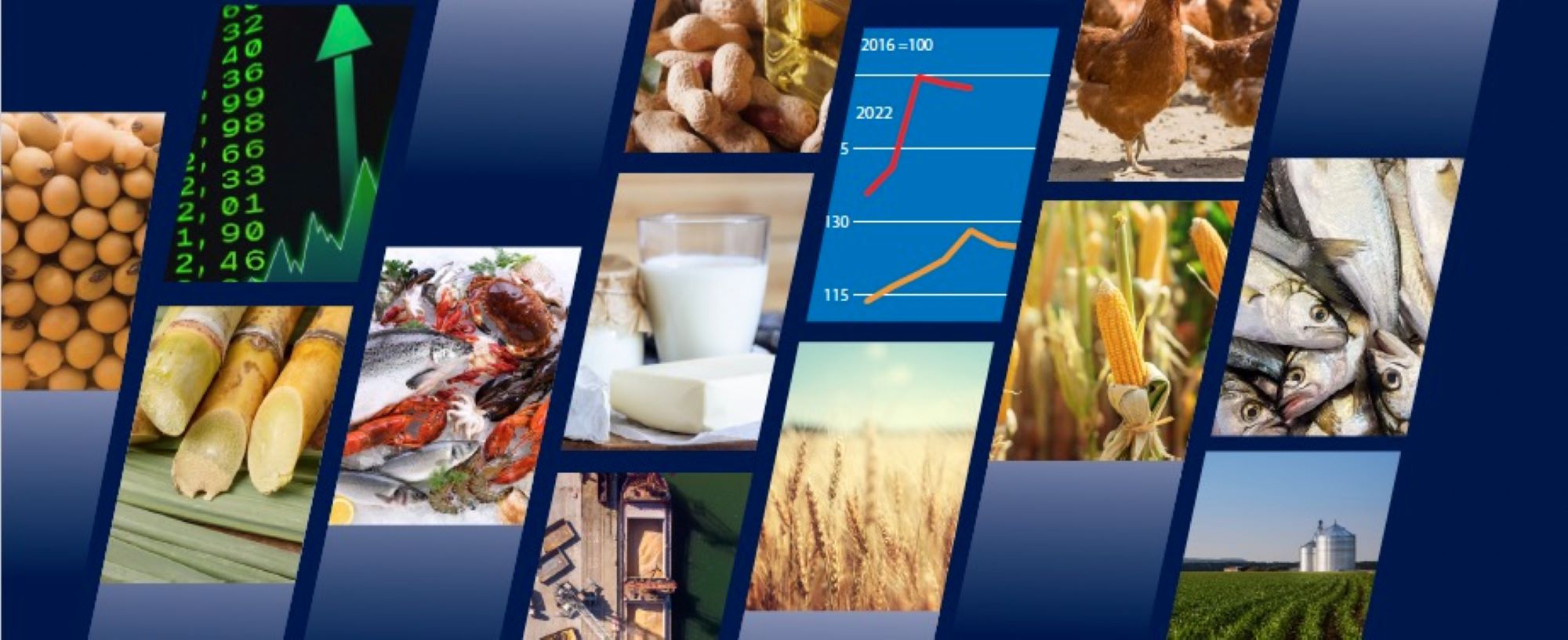 تقرير "دراسة استشرافية للأغذية" لمنظمة الأغذية والزرعة: الإنتاج العالمي آخذ  في التوسع، ولكن انخفاض واردات البلدان الأكثر ضعفًا مسألة مثيرة للقلق