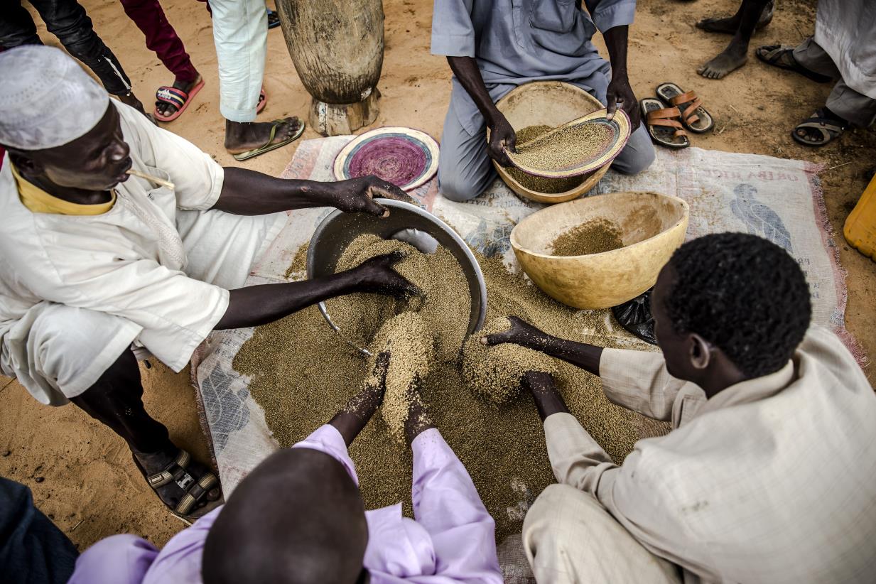 Un Food Agencies Warn Of Rising Levels Of Acute Hunger With Potential Risk Of Famine In Four