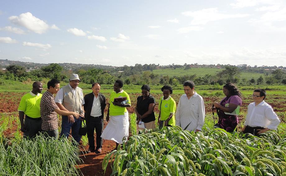FAO and China announce second phase of programme to boost agribusiness in  Uganda
