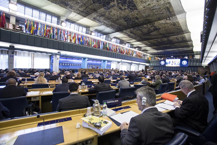 FAO Conference Set To Kick Off