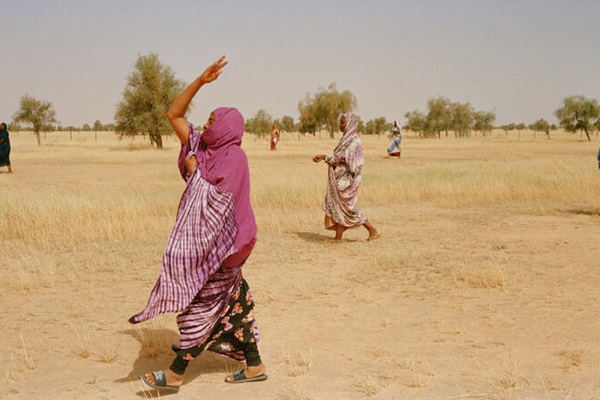 © FAO /  Giulio Napolitano