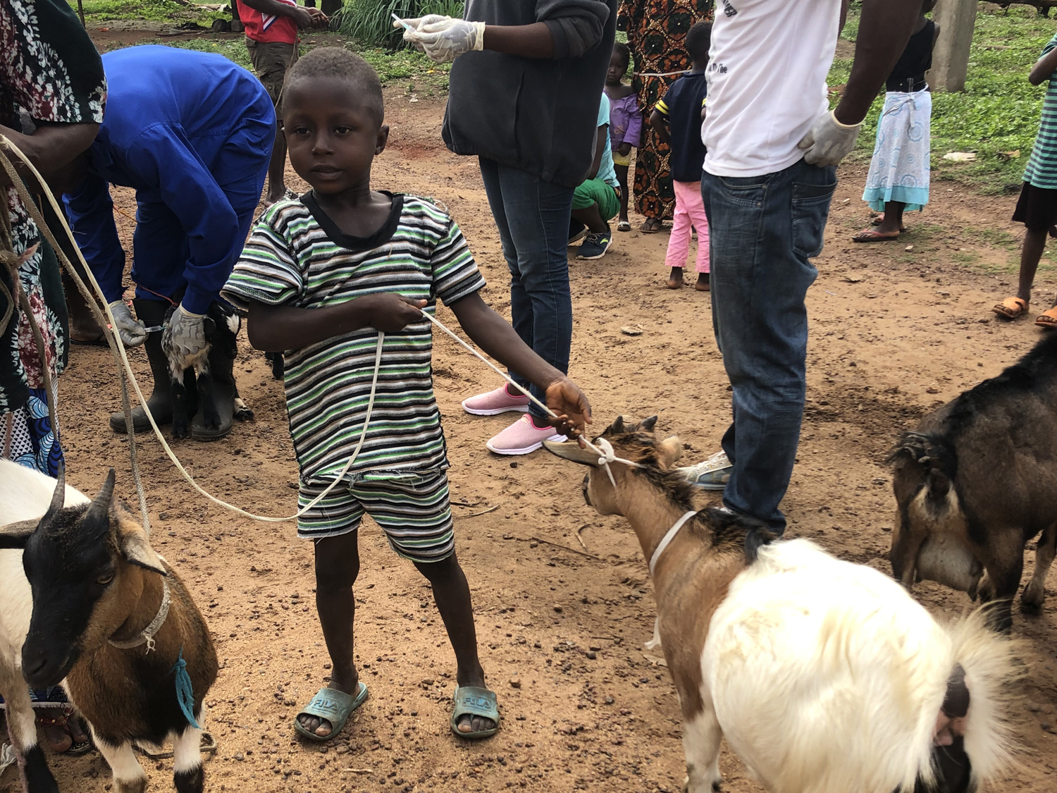 Boy with goat_Sierra Leone