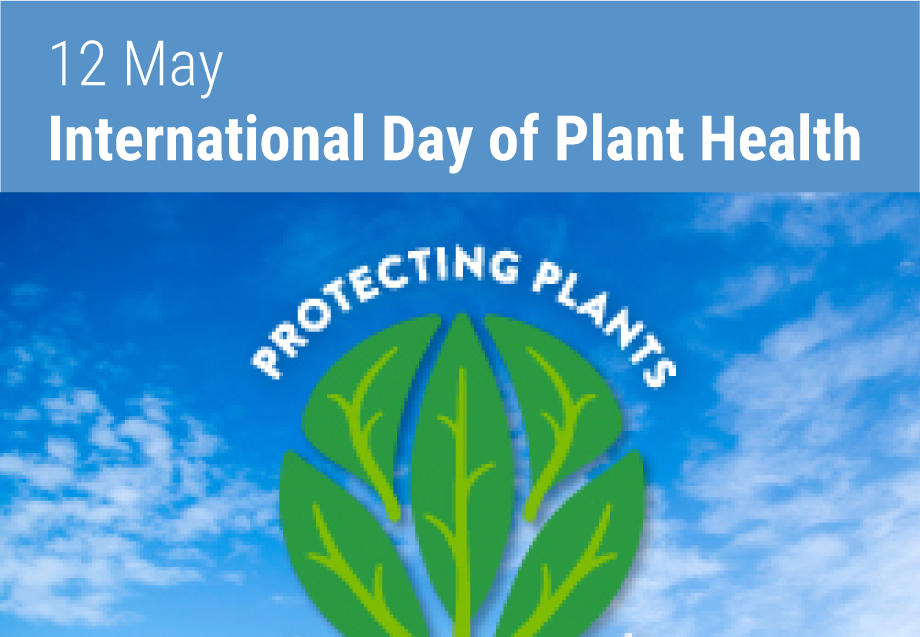 UN Observances Plant Production and Protection Food and Agriculture