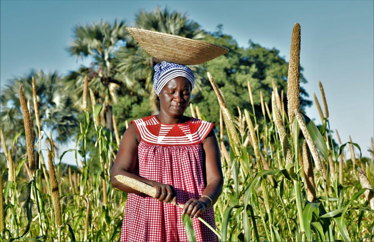 International Year of Millets Photo Contest Winner