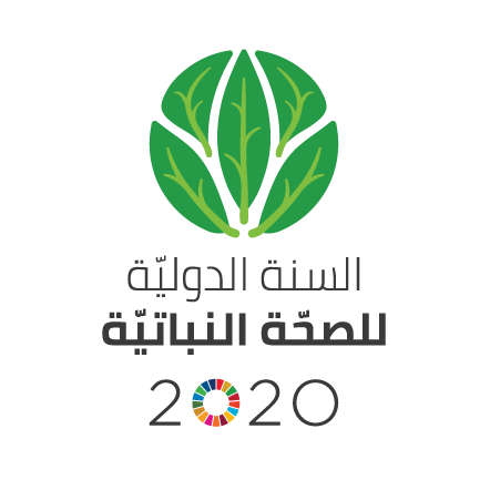 IYPH2020_Logo_Vertical__EN