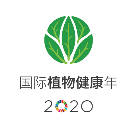 IYPH2020_Logo_Vertical__EN