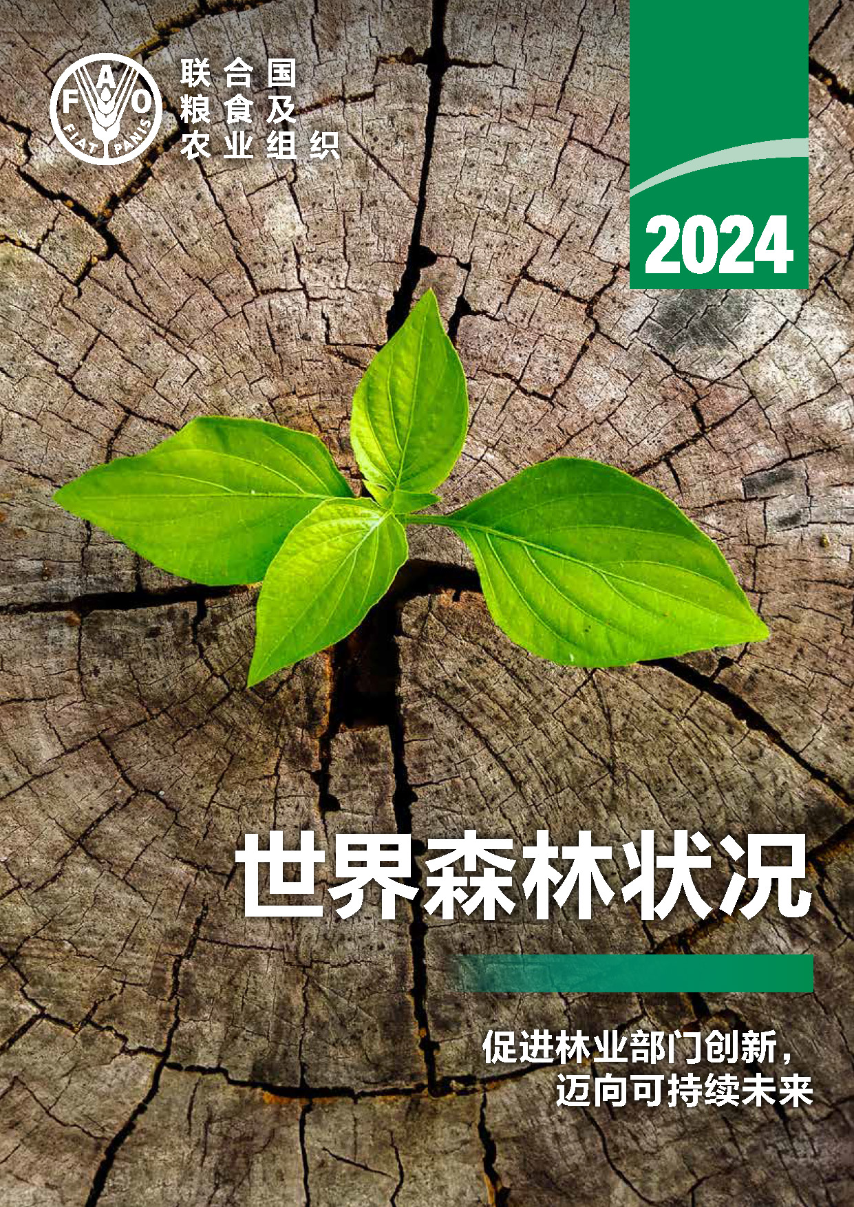 SOFO 2024 cover thumbnail Chinese