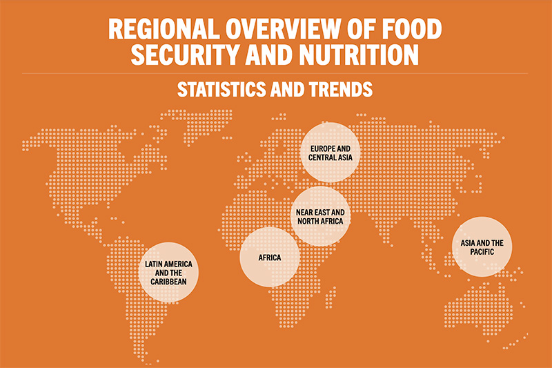 https://www.fao.org/images/publicationslibraries/flagship-mockups/regional-overview-map-en.jpg?sfvrsn=27b649a2_6