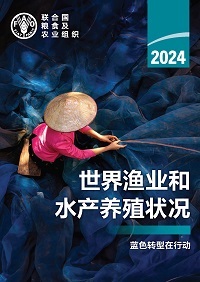 SOFIA 2024 Chinese version