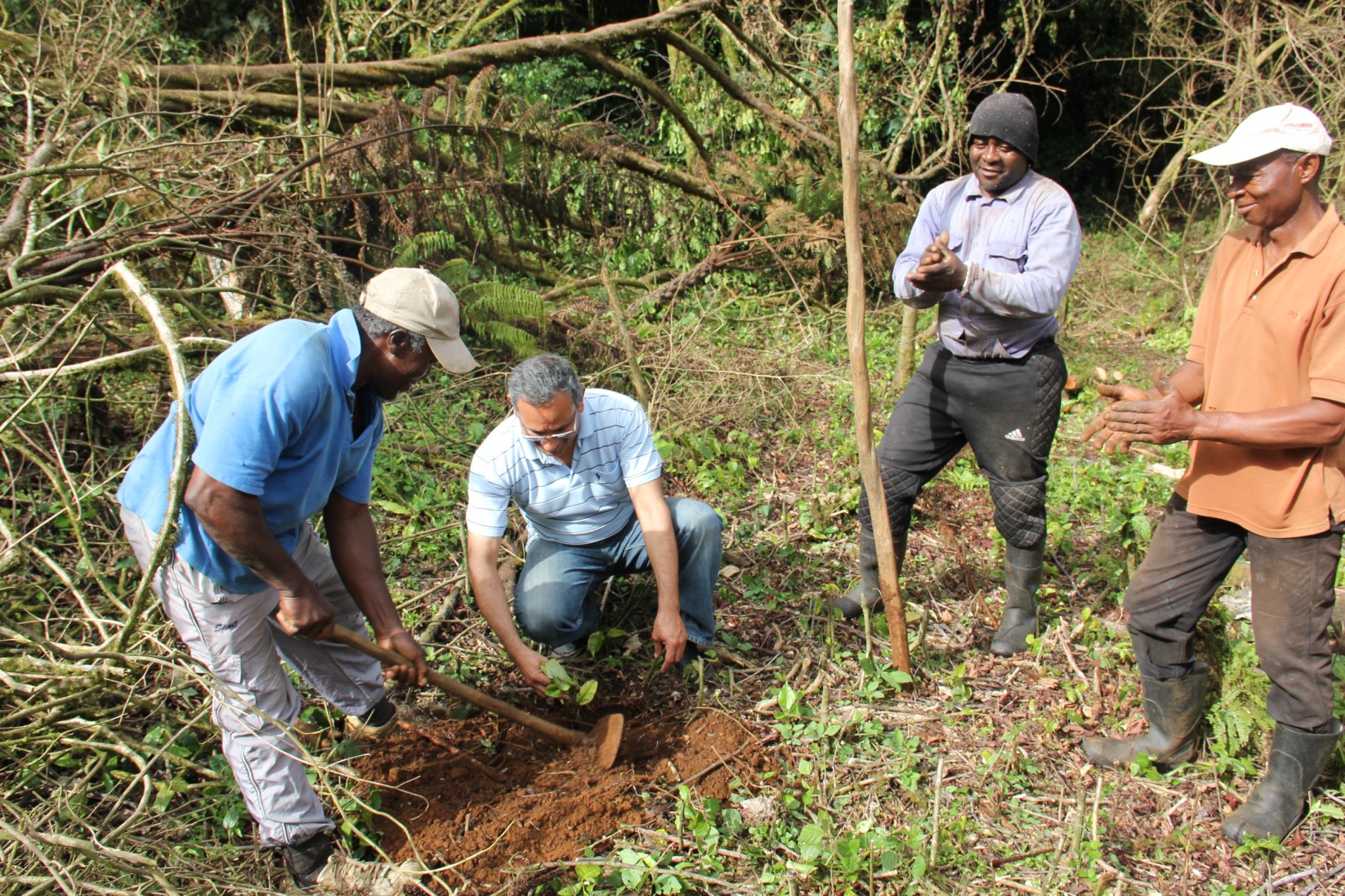 Equatorial Guinea SCALA private sector facility