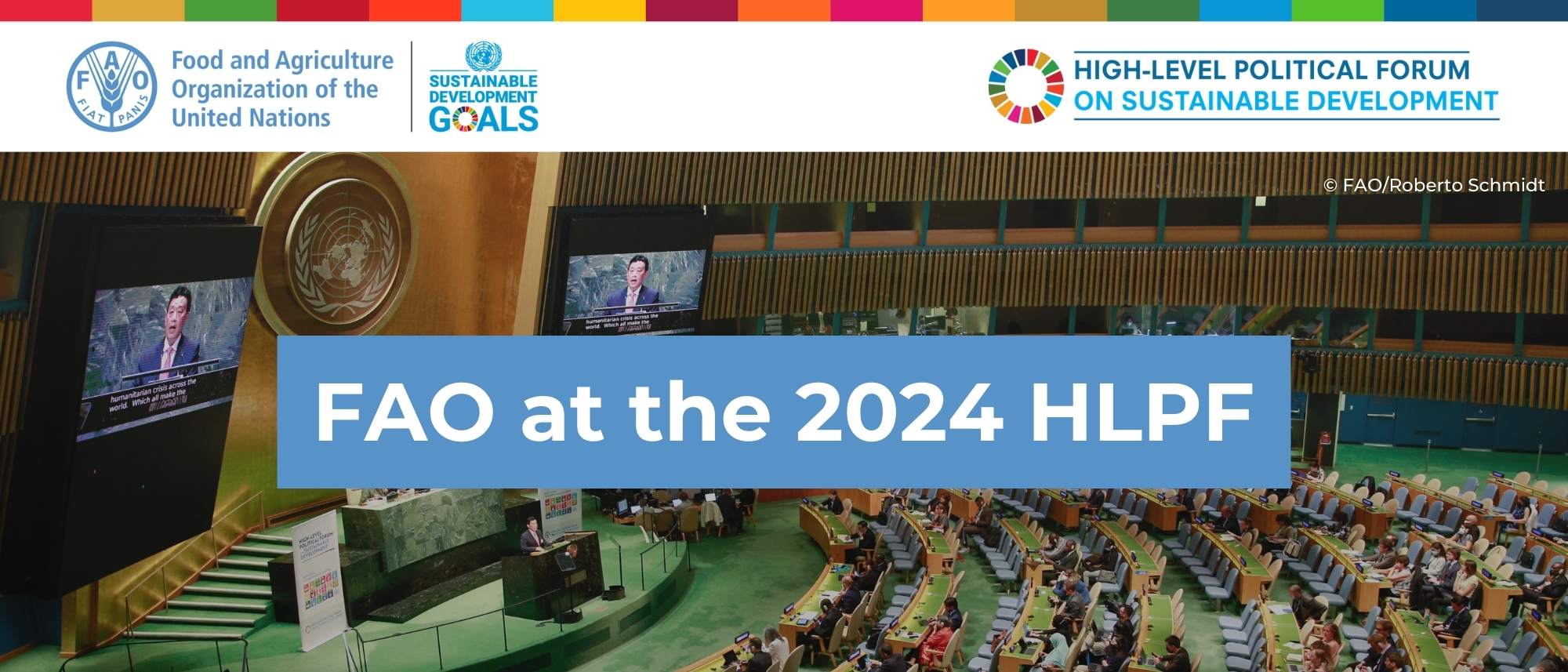 FAO at HLPF 2024 - Banner