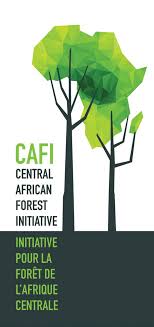 CAFI logo