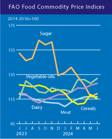 FAO Food Price Index-Jan24