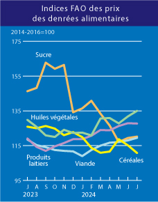 home_graph_2_fr