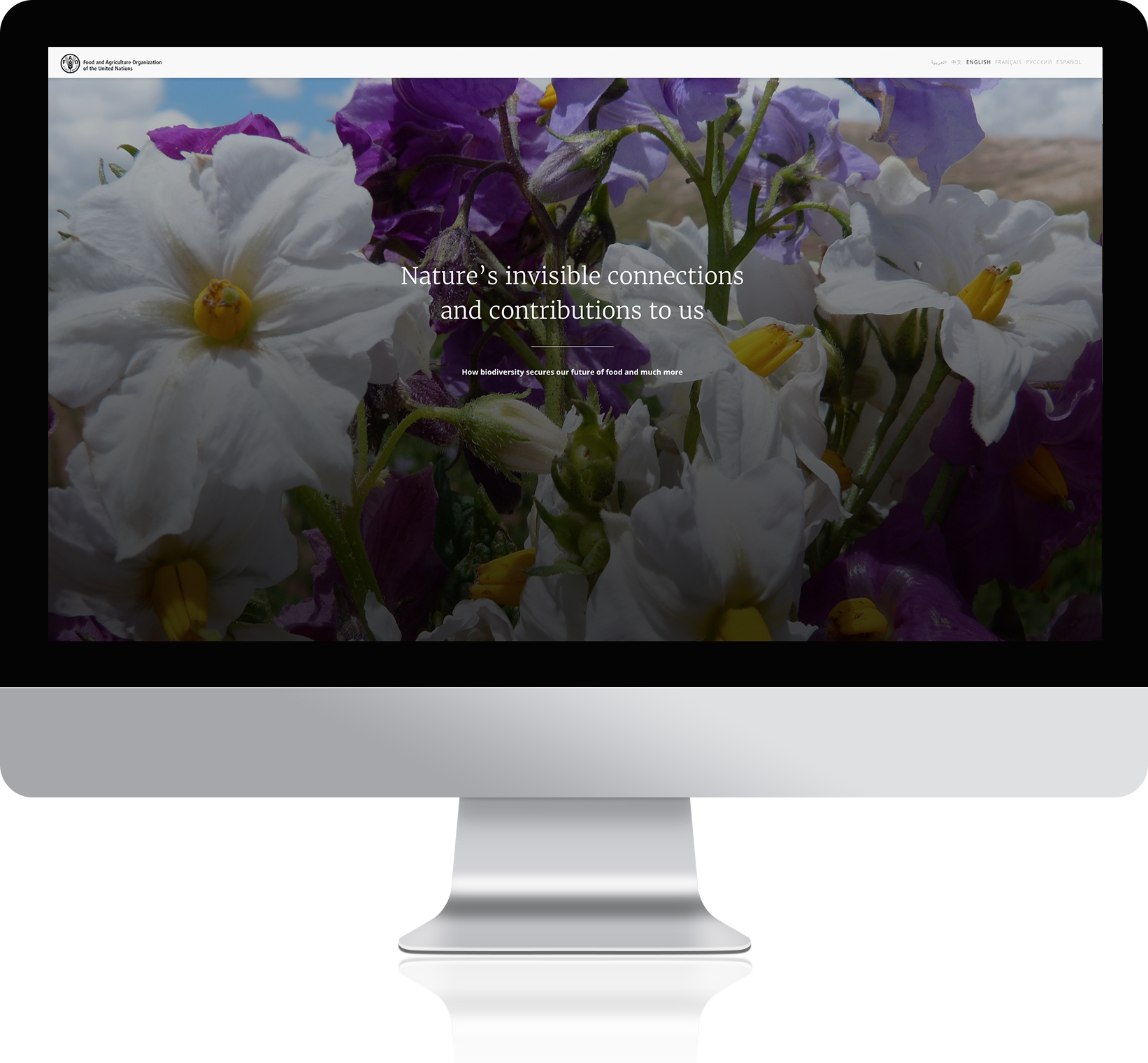 Responsive image