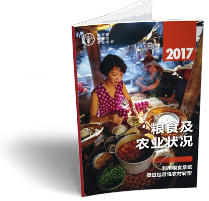 下载完整版报告（PDF）