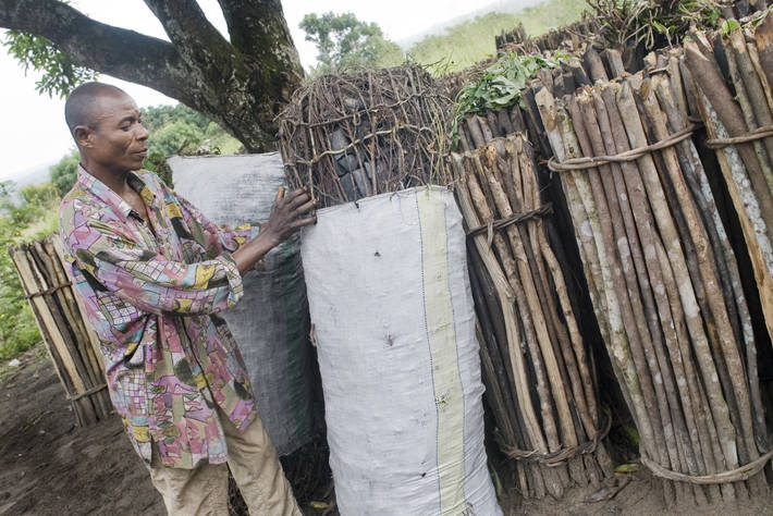 الفاو - مقالات إخبارية: تحويل الأخشاب إلى طاقة صديقة للبيئة عامل رئيسي في  التخفيف من آثار التغير المناخي وتحسين سبل كسب العيش في المناطق الريفية
