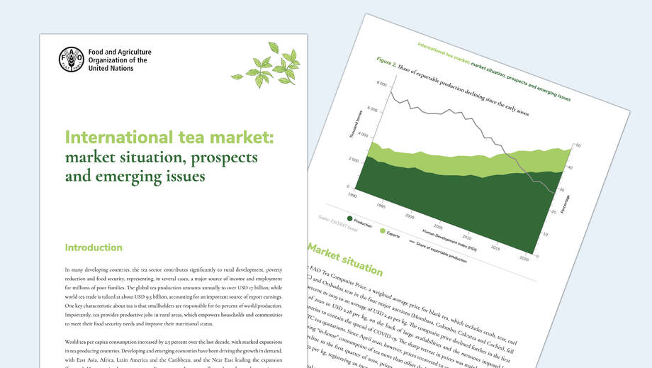 International Tea Day 2023 FAO Food and Agriculture Organization of