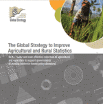 Global Strategy brochure