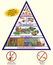 Food-based dietary guidelines - India