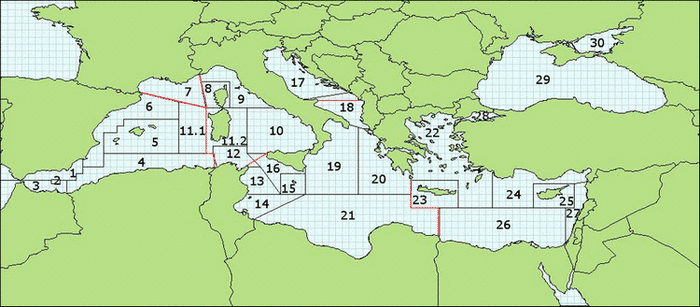 Geographical subareas | General Fisheries Commission for the Mediterranean  - GFCM | Organización de las Naciones Unidas para la Alimentación y la  Agricultura | General Fisheries Commission for the Mediterranean (GFCM)