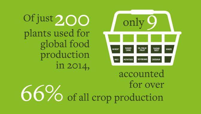 Biodiversity | Food and Agriculture Organization of the United Nations