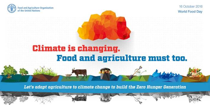 FAO - Noticias: World Food Day 2016 focuses on climate change and  sustainable agriculture