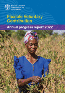 The Flexible Voluntary Contribution (FVC) 2022 Annual Progress Report