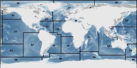 世界主要渔区地图粮农组织渔业及水产养殖部 - 统计及信息处