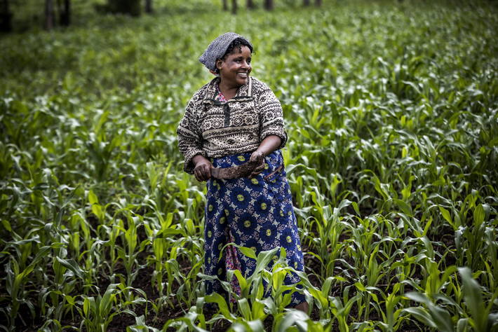 الفاو - مقالات إخبارية: الفاو ومنظمة المزارعين العالمية تساعدان المزارعين  على دفع جدول الأعمال الزراعي العالمي