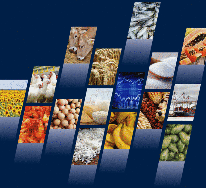 FAO - Nouvelles: Les pays en développement stimulent le commerce mondial  des denrées alimentaires