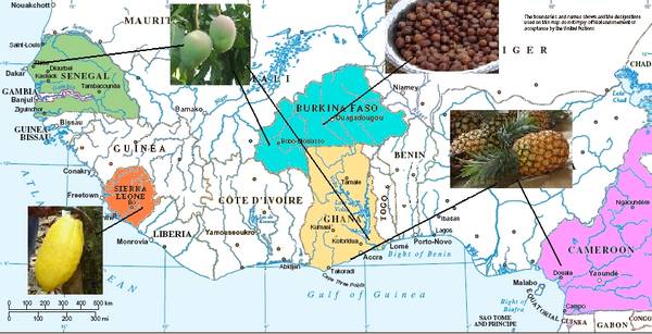 Le projet a appuié septe chaînes: cacao au Sierra leone, mangue au Sénégal, Burkina Faso et Ghana; ananas au Ghana et Cameroun