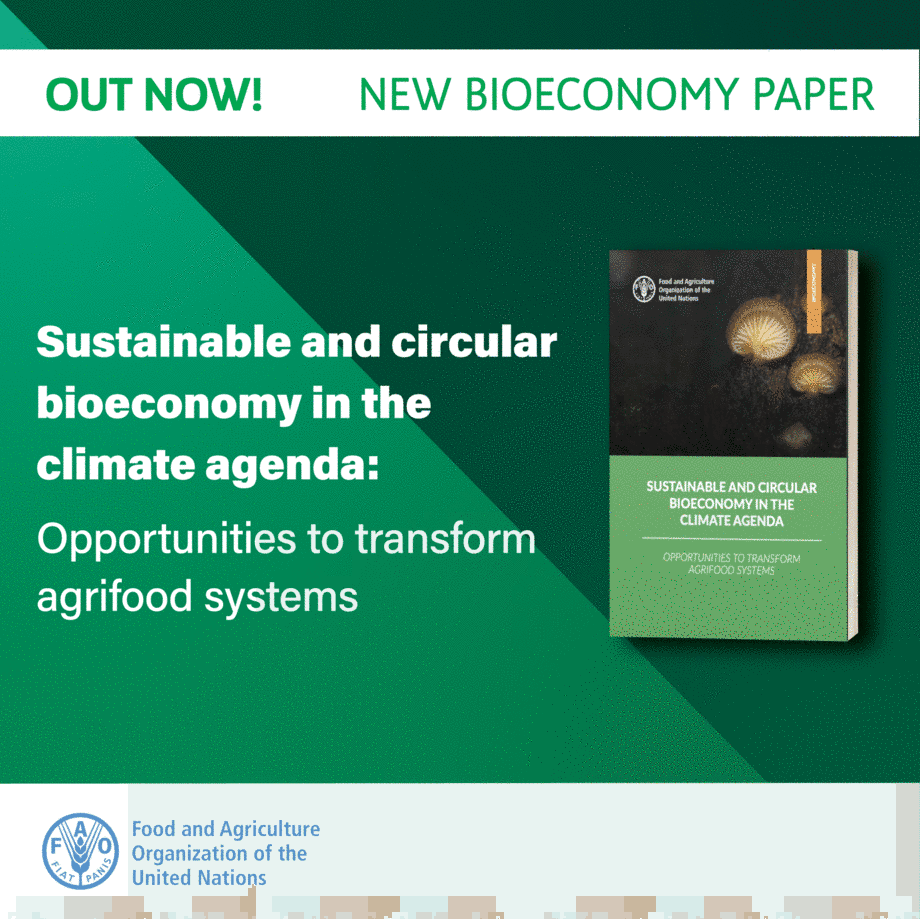 Sustainable and circular bioeconomy for food systems transformation | Food  and Agriculture Organization of the United Nations